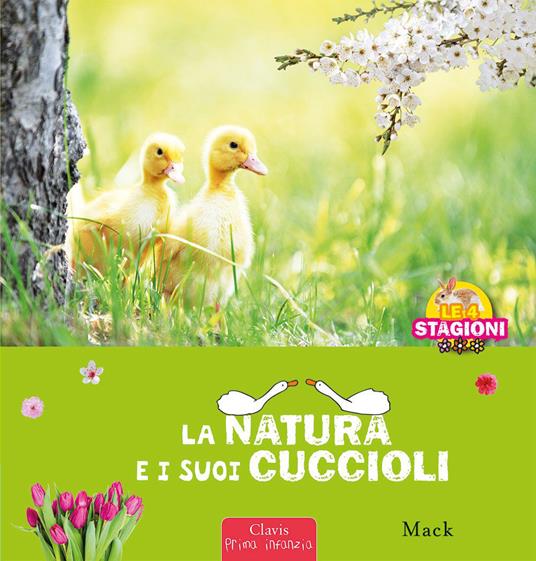 La natura e i sui cuccioli. Le 4 stagioni. Ediz. a colori - Mack - copertina