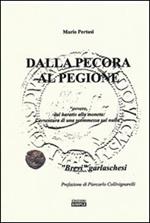 Dalla pecora al pegione «ovvero, dal baratto alla moneta. L'avventura di una scommessa sul nulla»