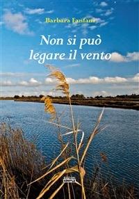 Non si può legare il vento - Barbara Fanfani - ebook