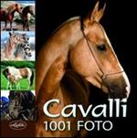 Cavalli. Ediz. illustrata