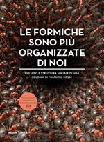 Le formiche sono più organizzate di noi. Ediz. illustrata