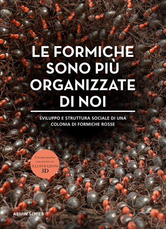 Le formiche sono più organizzate di noi. Ediz. illustrata - Armin Schieb - copertina