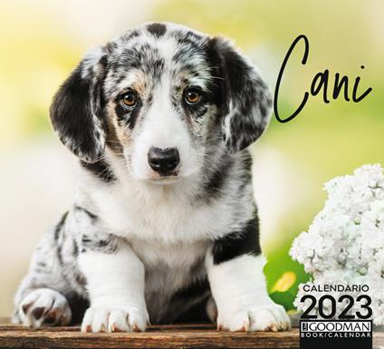 Calendario Cani 2023 Pocket