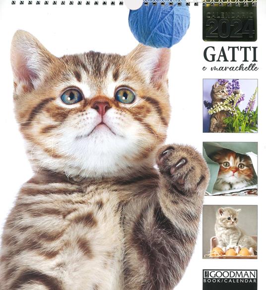 Calendario Gatti 2024 — Calendario