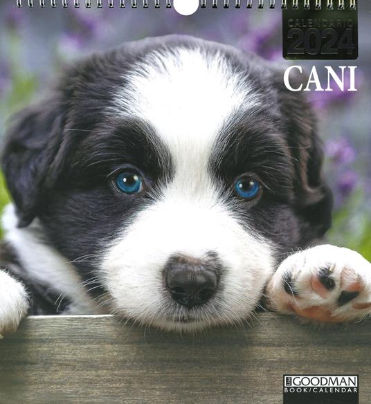 Cani. Calendario 2024. Long - Libro - Sprea Editori 