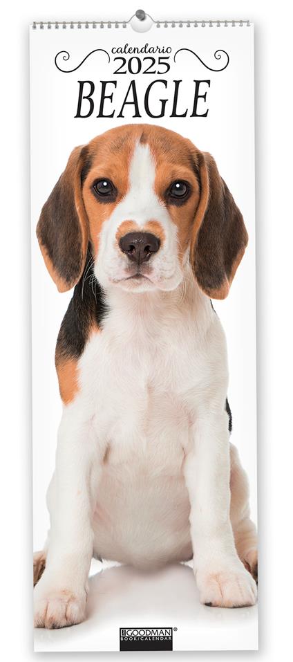 Beagle. Calendario 2025. Long - copertina