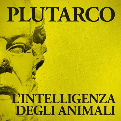 L'intelligenza degli animali