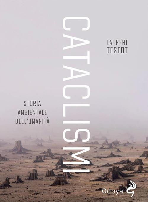 Cataclismi. Storia ambientale dell'umanità - Laurent Testot,Federico Simonti - ebook