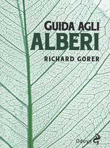 Guida agli alberi