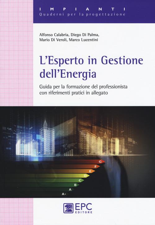 L' esperto in gestione dell'energia. Guida per la formazionre del professionista con riferimenti pratici in allegato - Alfonso Calabria,Diego Di Palma,Mario Di Veroli - copertina