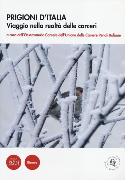 Colpevoli di omicidio di Danner Darcleight, recensione del libro