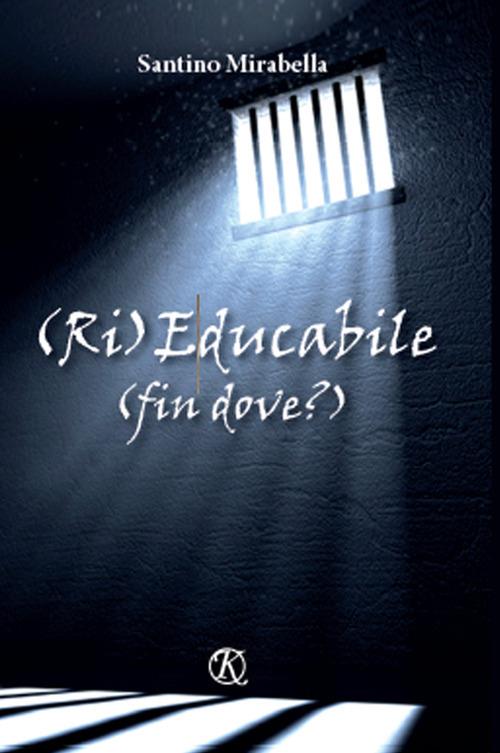 (Ri)Educabile (fin dove?) - Santino Mirabella - copertina