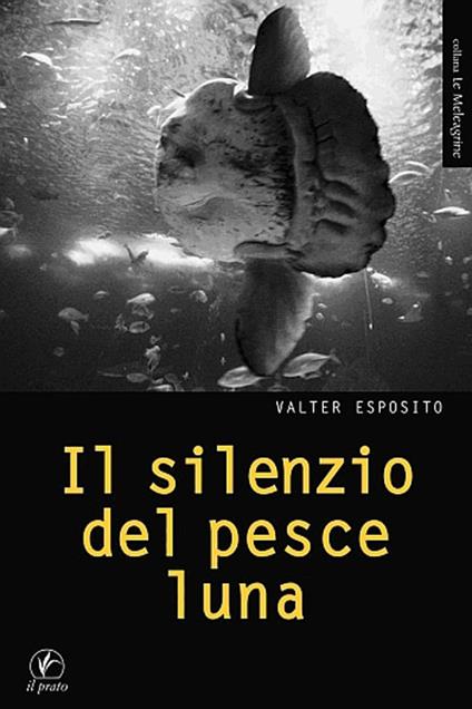 Il silenzio del pesce luna - Valter Esposito - copertina