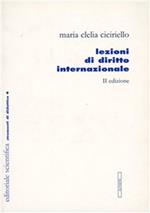 Lezioni di diritto internazionale