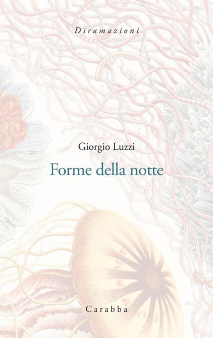 Forme della notte - Giorgio Luzzi - copertina