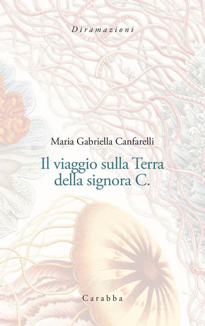 Il viaggio sulla terra della signora C. - Maria Gabriella Canfarelli - copertina