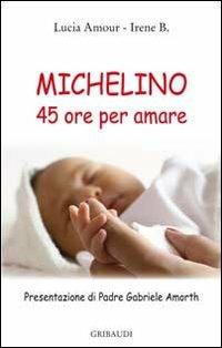 Michelino. 45 ore per amare - Lucia Amour,Irene B. - copertina