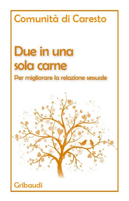 Due in una sola carne. Per migliorare la relazione sessuale - copertina