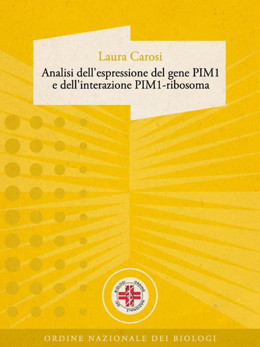 Analisi dell'espressione del gene PIM1 e dell'interazione PIM1-ribosoma - Laura Carosi - ebook