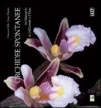 Orchidee spontanee tra Marcarolo la Val Lemme e il Piota. Ediz. illustrata - Giacomo Gola,Enrico Martini - copertina