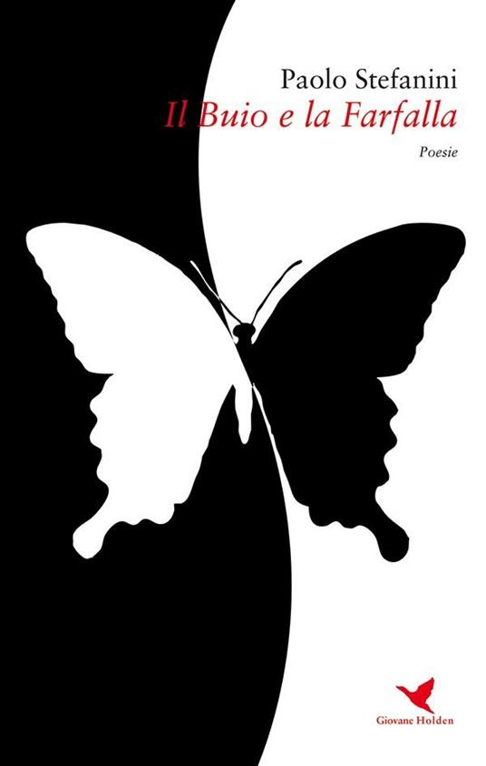 Il buio e la farfalla - Paolo Stefanini - ebook