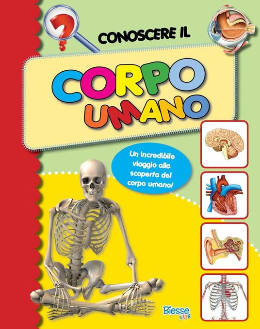 Conoscere il corpo umano. Un incredibile viaggio alla scoperta del corpo umano - copertina