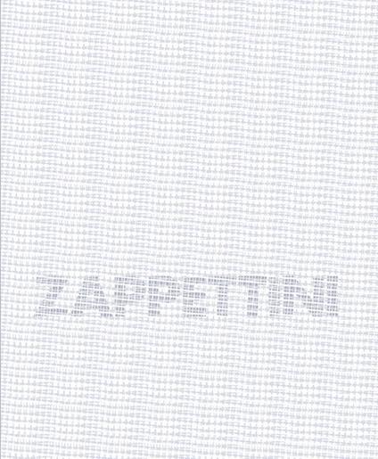 Gianfranco Zappettini. Ediz. multilingue - Alberto Fiz - copertina