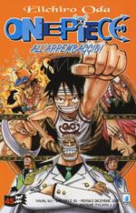 One piece. Vol. 45