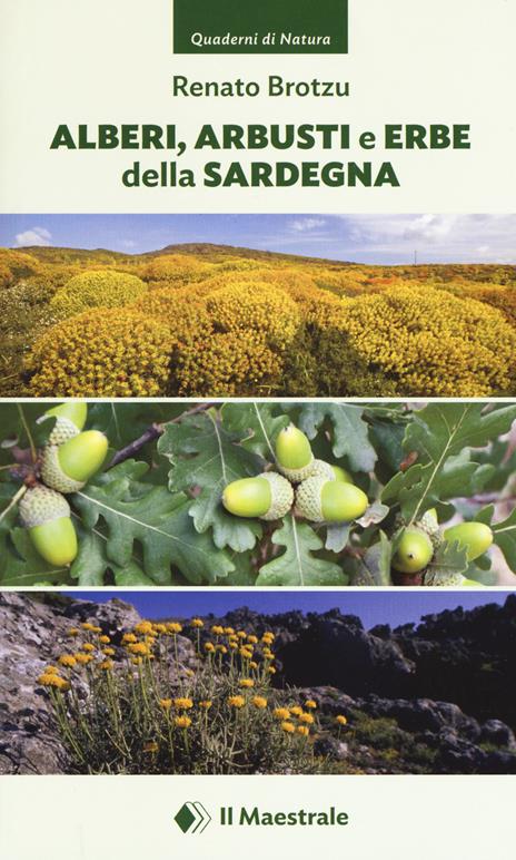 Alberi, arbusti e erbe della Sardegna. Ediz. illustrata - Renato Brotzu - copertina