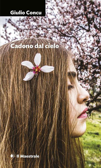 Cadono dal cielo - Giulio Concu - ebook