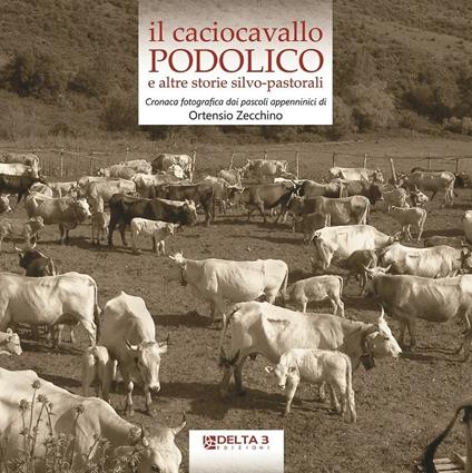 Il caciocavallo podolico e altre storie silvo-pastorali. Cronaca fotografica dai pascoli appenninici. Ediz. illustrata - Ortensio Zecchino - copertina