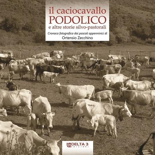 Il caciocavallo podolico e altre storie silvo-pastorali. Cronaca fotografica dai pascoli appenninici. Ediz. illustrata - Ortensio Zecchino - copertina