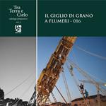 Il giglio di grano a Flumeri-016