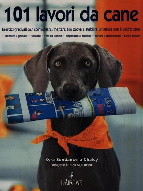 Centouno lavori da cane - Kyra Sundance - 2