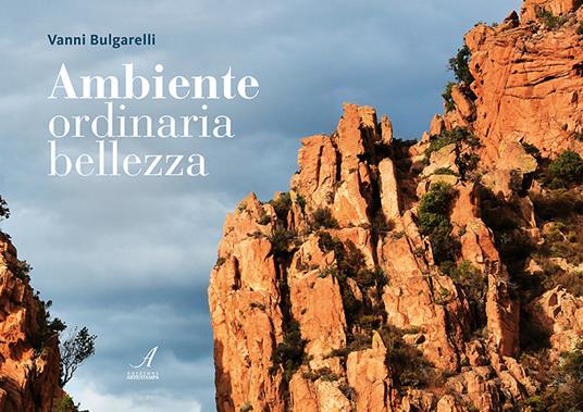 Ambiente, ordinaria bellezza - Vanni Bulgarelli - copertina