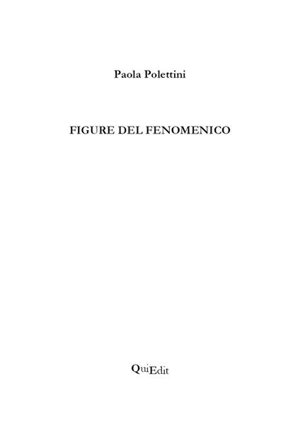 Figure del fenomenico - Paola Polettini - copertina