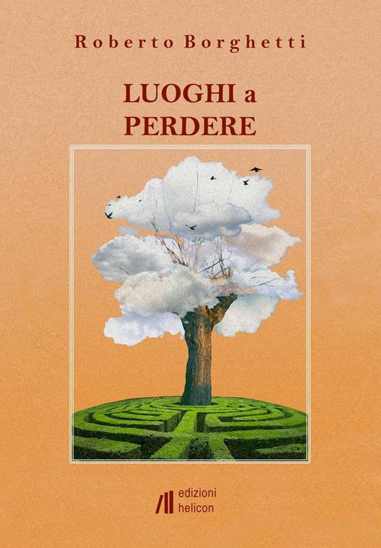 Luoghi a perdere - Roberto Borghetti - copertina