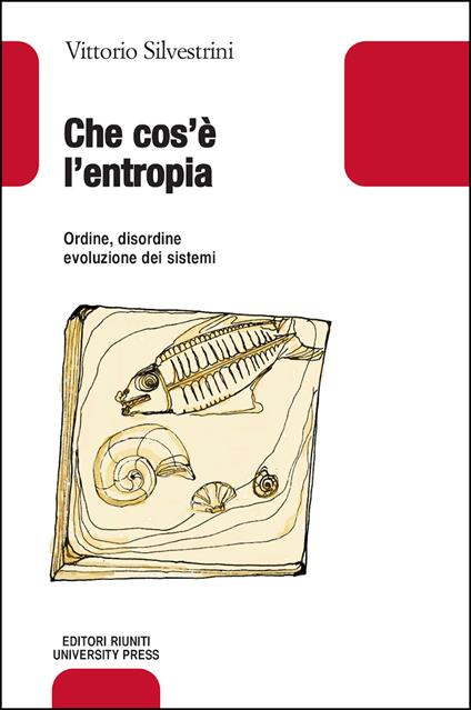 Che cos'è l'entropia. Ordine, disordine, evoluzione dei sistemi - Vittorio Silvestrini - copertina