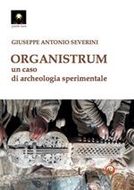 Organistrum. Un caso di archeologia sperimentale