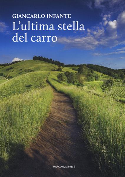 L'ultima stella del carro - Giancarlo Infante - copertina