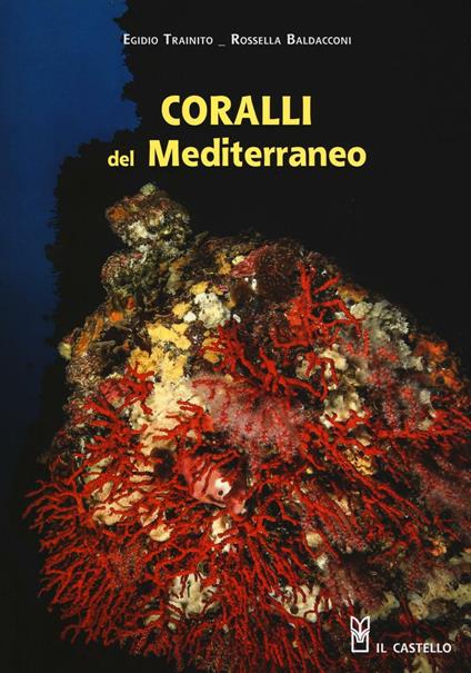 Coralli del Mediterraneo - Egidio Trainito,Rossella Baldacconi - copertina