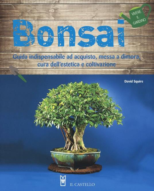 Bonsai - David Squire - copertina