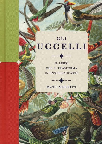 Gli uccelli. Il libro che si trasforma in un'opera d'arte. Ediz. a colori - Matt Merritt - copertina