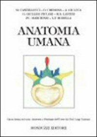 Anatomia umana - copertina