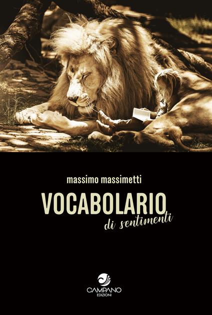 Vocabolario di sentimenti - Massimo Massimetti - copertina