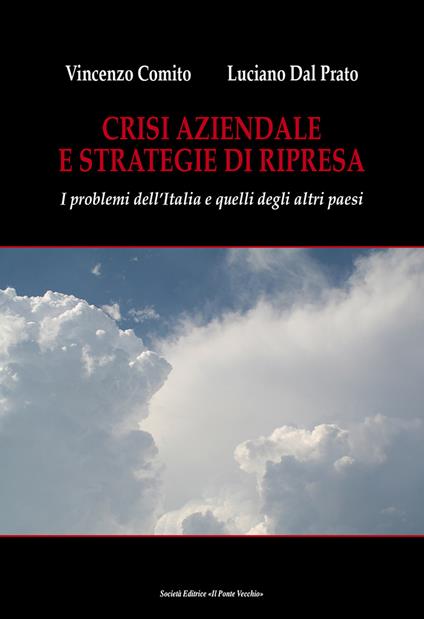 Crisi aziendale e strategie di ripresa. I problemi dell'Italia e quelli degli altri paesi - Vincenzo Comito,Luciano Dal Prato - copertina