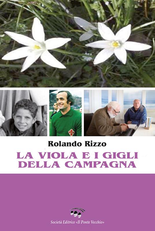 La viola e i gigli della campagna - Rolando Rizzo - copertina