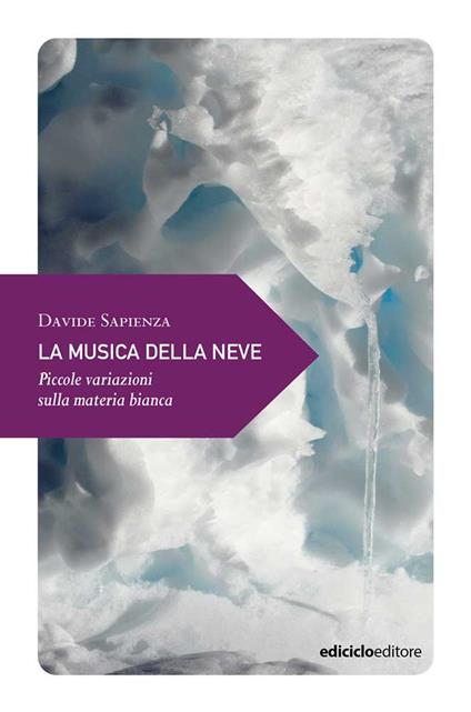 La musica della neve. Piccole variazioni sulla materia bianca - Davide Sapienza - copertina