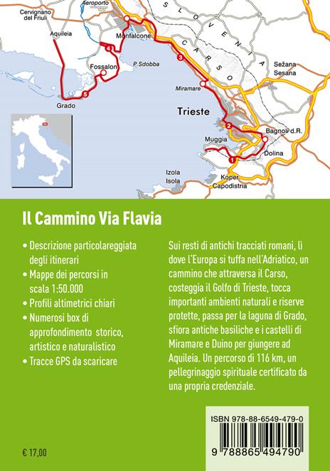 Il cammino Via Flavia. 116 km a piedi da Muggia ad Aquileia in 5 tappe. Nuova ediz. - Alberto Fiorin,Diego Masiello - 2