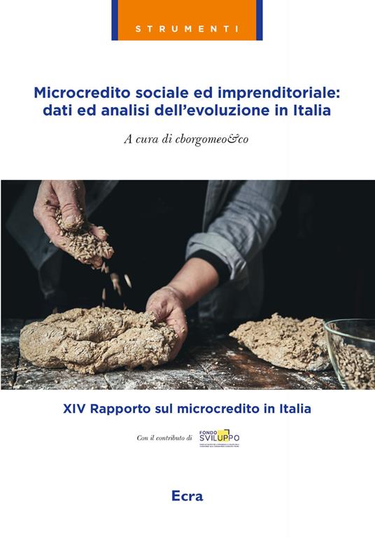 Microcredito sociale ed imprenditoriale: dati analisi dell'evoluzione in Italia - copertina